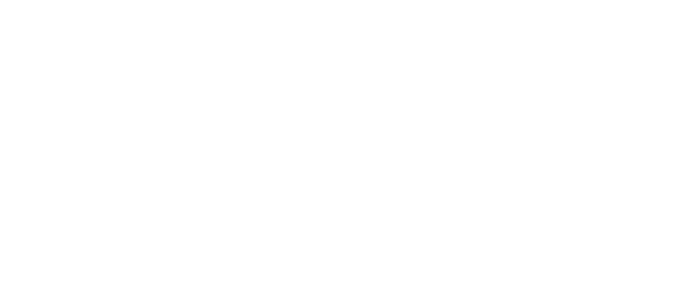 Logo PCNET blanco