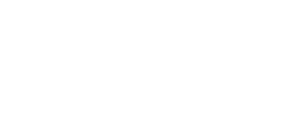 logo Feip blanco